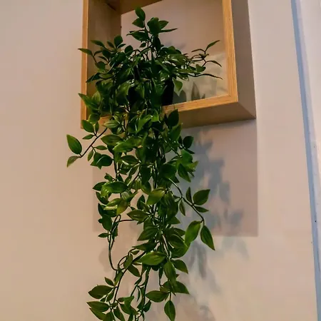 Coeur De T2, Terrasse, Clim Tt équipe, Parking Appartamento Sanary-sur-Mer